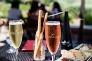 尤文图斯换帅：一次蓄势待发的突破，一次寻求成功的契机