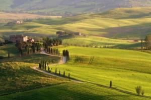 绿茵盛宴，激情落幕：肯尼亚足球赛季的完美句号