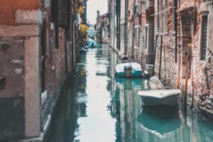 弓弦之韵，心之所向：射箭赛场上的心理博弈与巅峰成就