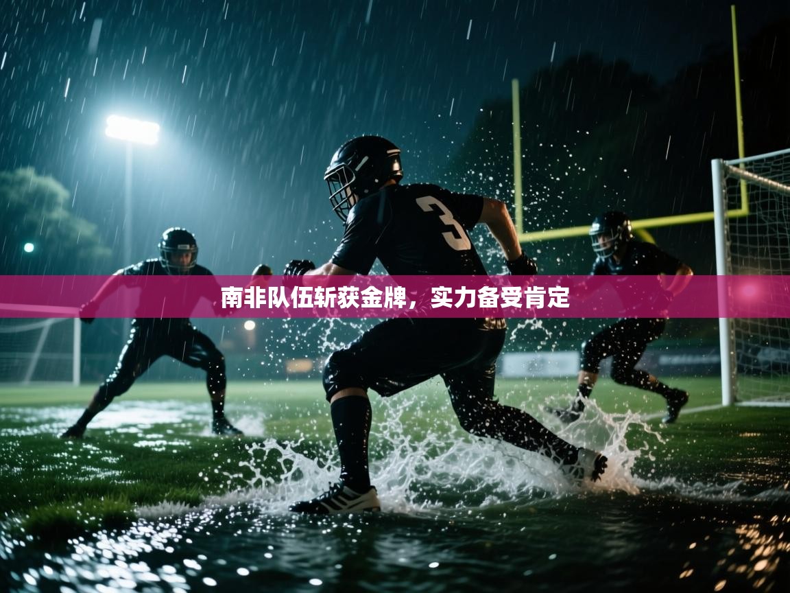 南非队伍斩获金牌，实力备受肯定  第2张