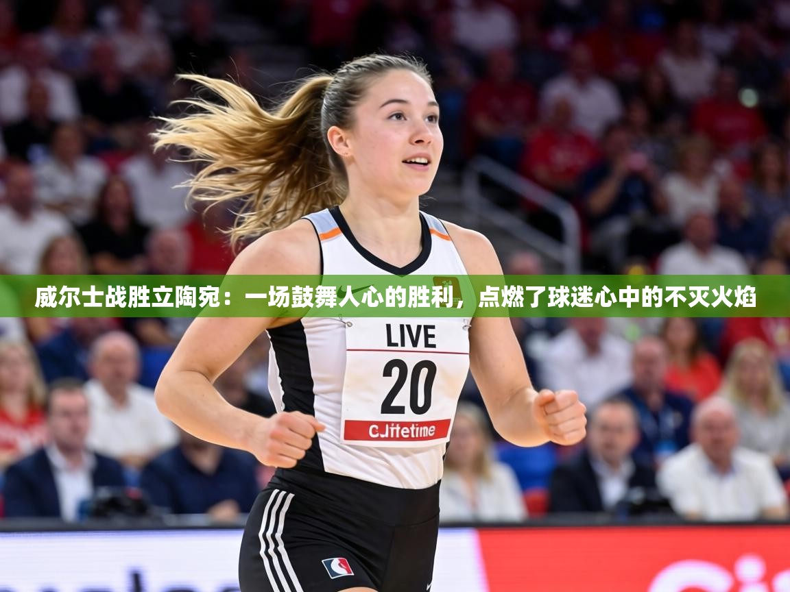 威尔士战胜立陶宛:一场鼓舞人心的胜利,点燃了球迷心中的不灭火焰 第2张